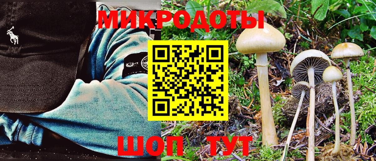 Псилоцибиновые грибы Psilocybine cubensis  Вход с VPN  Родники 